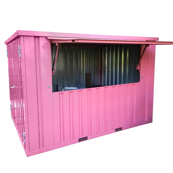 1 10 Foot Container Pink Ral 3014 - Image 1